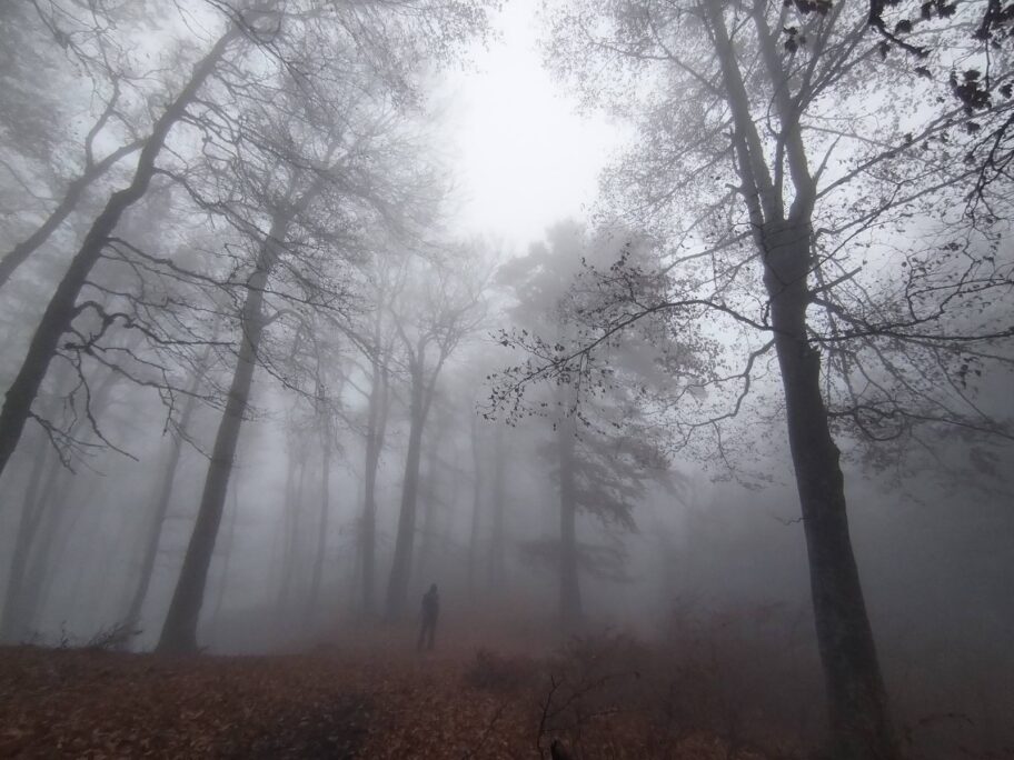 Planinarenje u zanimljivim uslovima samo je mnogo lepa fotka