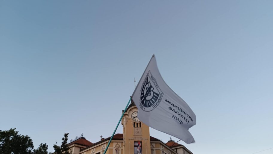 blokada sud ljubica jocic 11