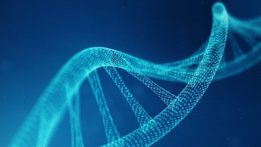 c3bacf40 5359 11f0 8485 7bd50fa63665