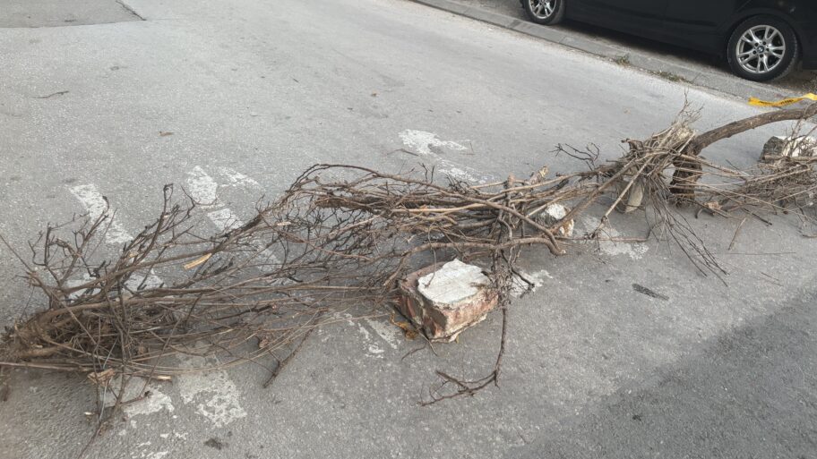 Blokirane ulice u centru Niša - građani prelazili pešački ukrug, pa postavili kontejnere 8 img 2412