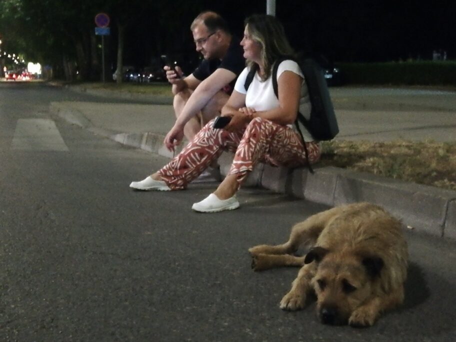 viber image 2025 06 30 00 44 23 904