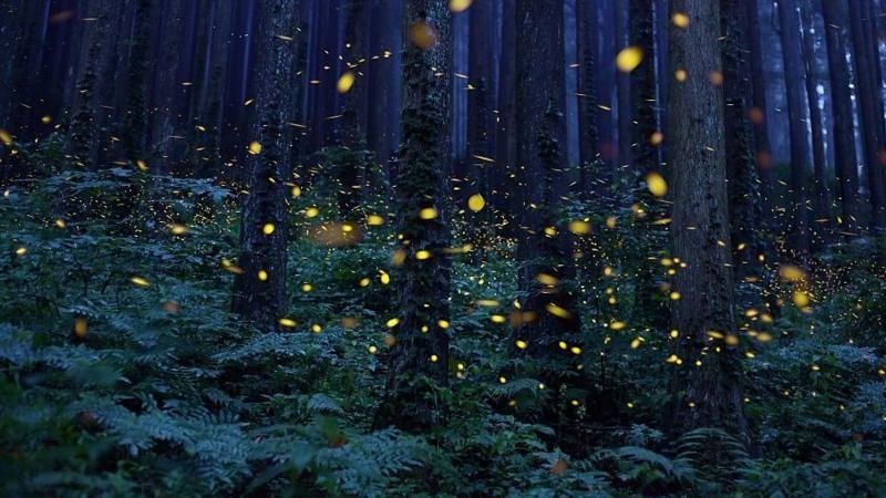 0587d8e0 557c 11f0 aed1 45b5f35cc572