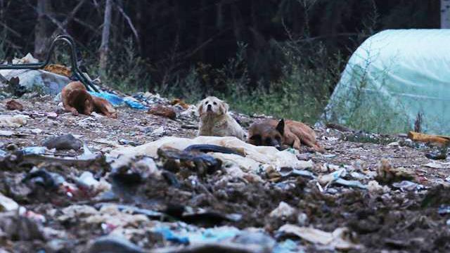 0cfb9e60 63c1 11f0 b78c 6b951187ffbf