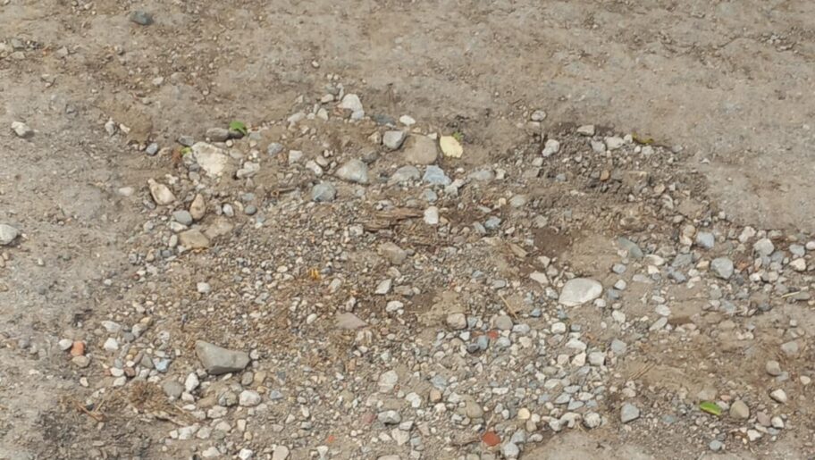 1000008415 e1752165326620