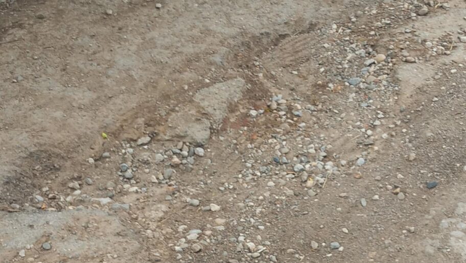 Foto-vest: Nišlije iz ulice Delijski vis bez asfalta, u korovu i prašini 4 1000008418 e1752165455176