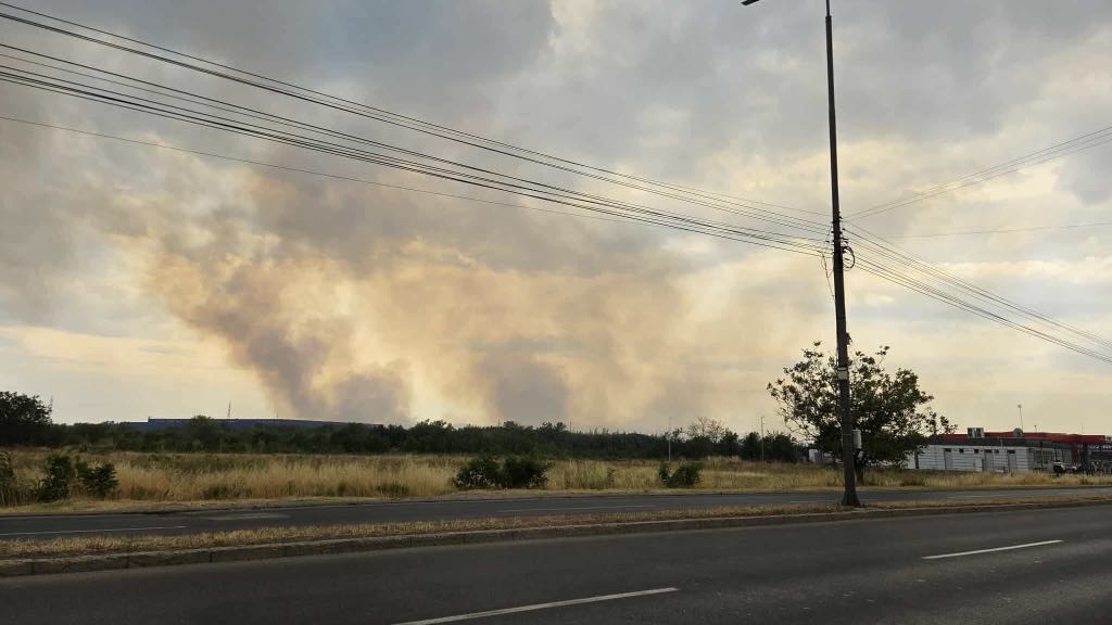 11f26006 dcb6 497b b46c 373cf66f1f63