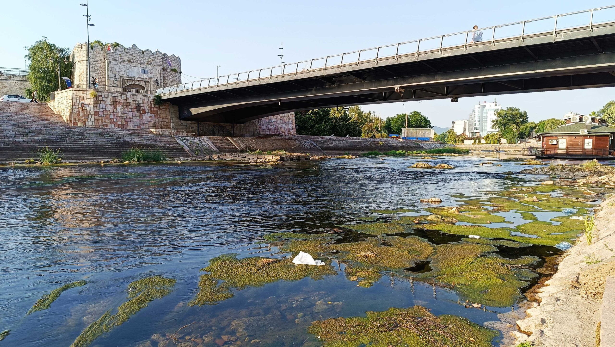 Manje reke na jugu presušile, pritoke Južne Morave blizu biološkog minuma - ugrožene ribe i biljni svet 1 1751359100077 scaled