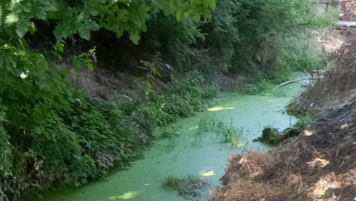 Rešenje za zapušteni Humski potok u Nišu tek naredne godine 1 22074d40 1d6e 44fe bbbd acbe3df563d2 e1751621997709