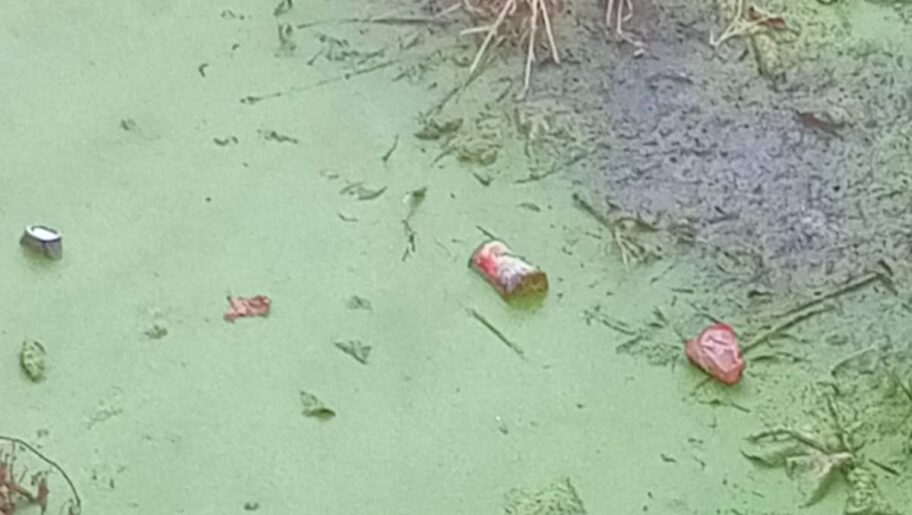 Stanari niškog naselja Ratko Jović žale se na neprijatan miris iz Humskog potoka, strahuju od zaraza 5 250d6278 8d2a 4c5d a38f ab240541edec e1751622123972