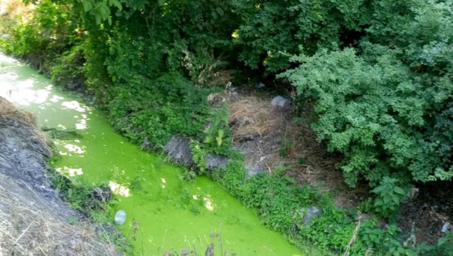 Stanari niškog naselja Ratko Jović žale se na neprijatan miris iz Humskog potoka, strahuju od zaraza 4 31709102 6af2 4186 a71d 9a0da0c53138 e1751622063751