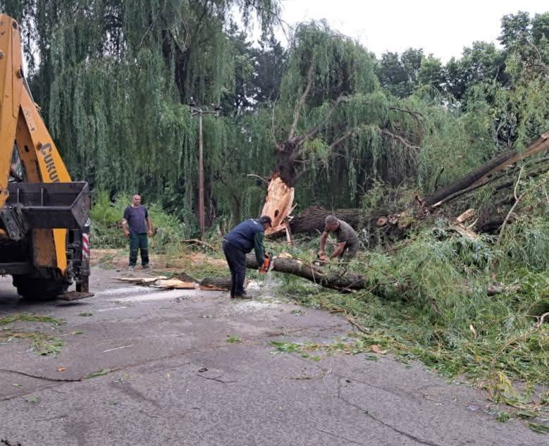 518424620 1156565446515854 3530115841674514403 n