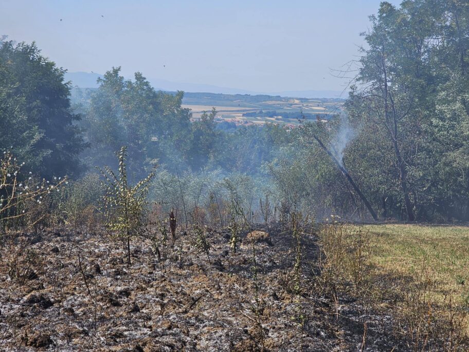 523930683 1161059129399819 2514922838790561682 n