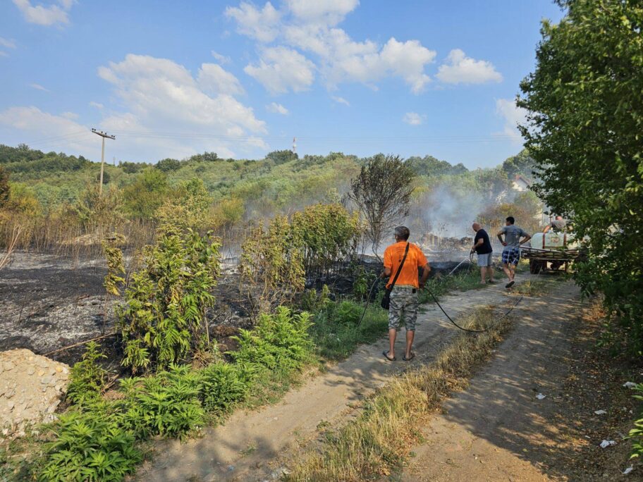 524699070 1164364445735954 1750073835368728284 n