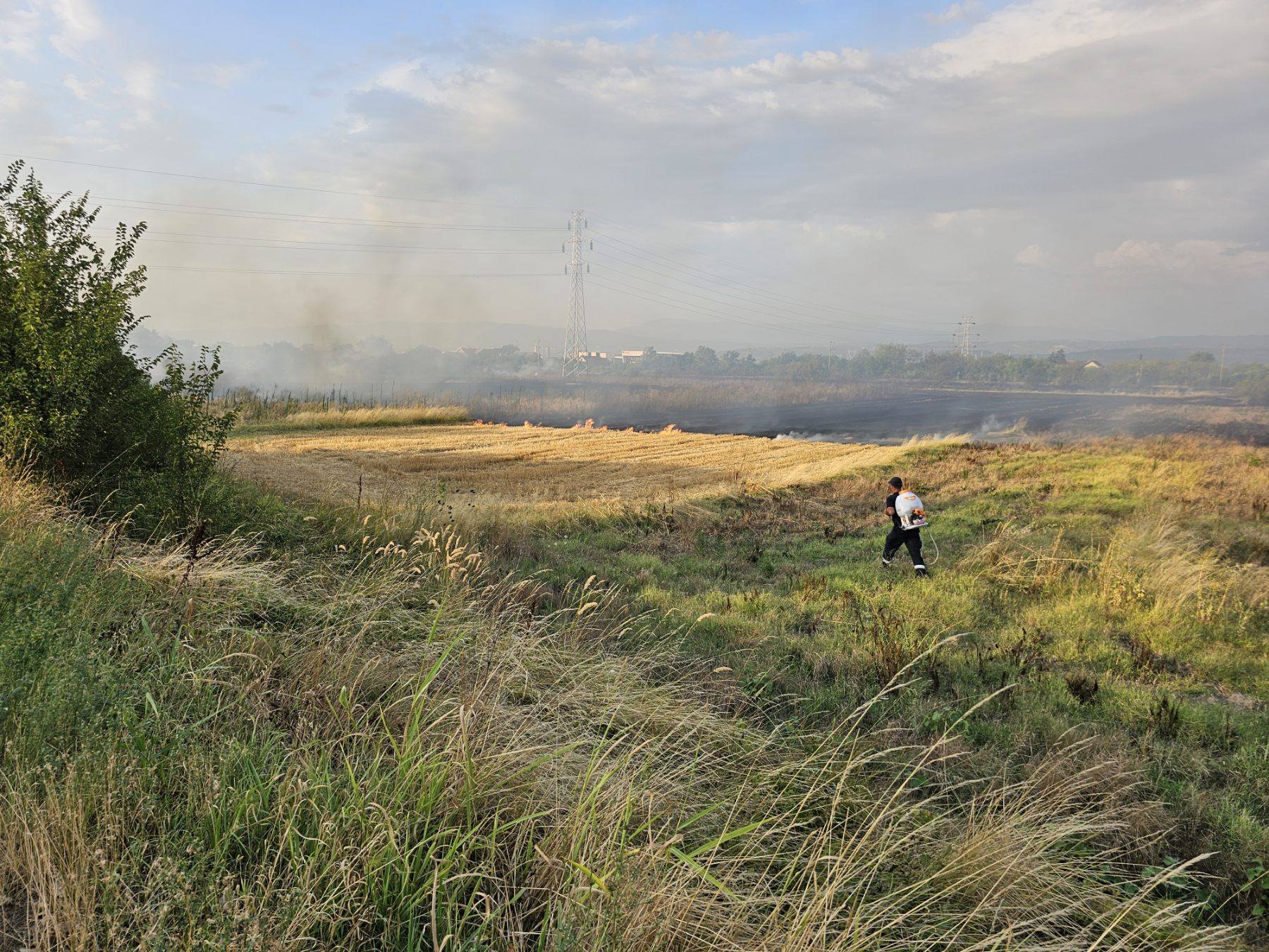 524699074 1164366992402366 4640243688885776950 n