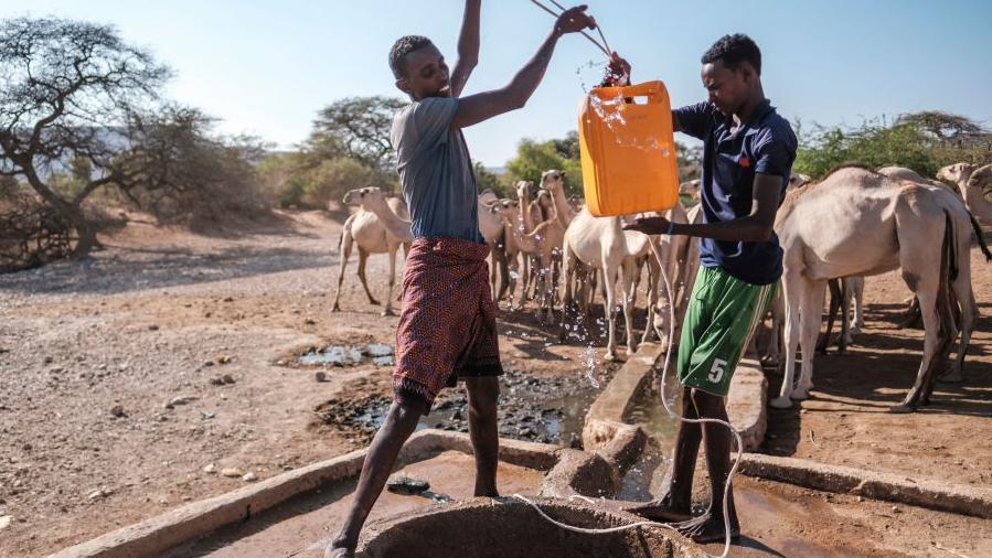 650af600 568d 11f0 8378 af62018ae2d0