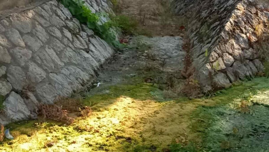 Stanari niškog naselja Ratko Jović žale se na neprijatan miris iz Humskog potoka, strahuju od zaraza 6 76a446f6 c612 48ad bfa1 29a55da16c4a e1751622099643