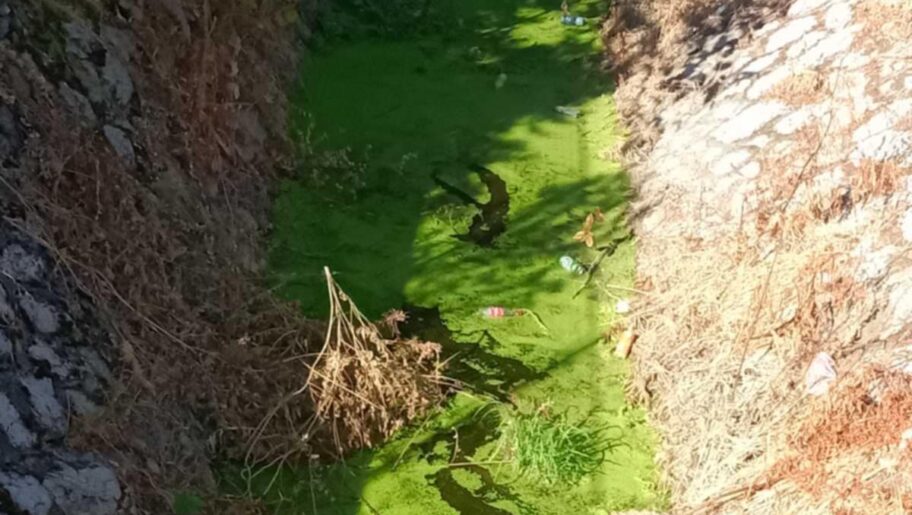 Stanari niškog naselja Ratko Jović žale se na neprijatan miris iz Humskog potoka, strahuju od zaraza 7 8a44124d 3403 486f 9fbd a66c204c909b e1751622111948