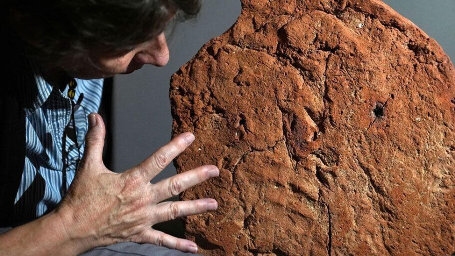 97437240 6b79 11f0 8dbd f3d32ebd3327