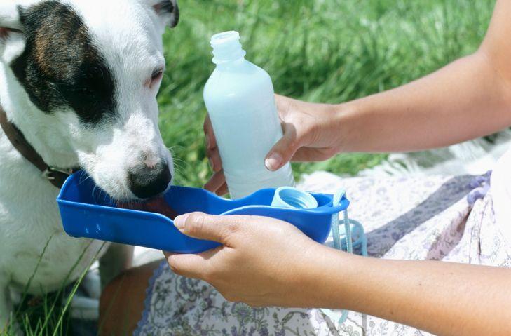 b3bbe830 5689 11f0 b5c5 012c5796682d