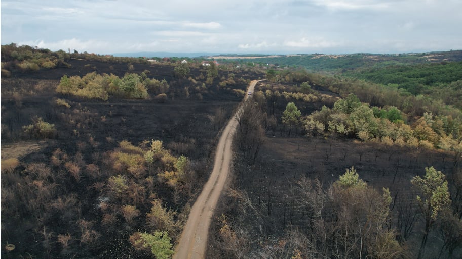 bf79c446 aa7a 4e92 a27b c592a757ec98