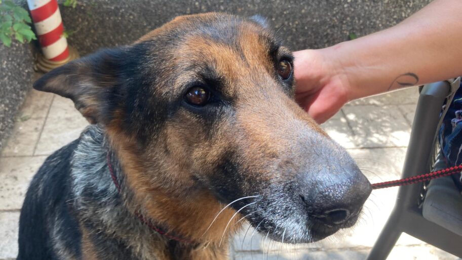 c7b26630 4abc 11f0 a10a f120a224db13