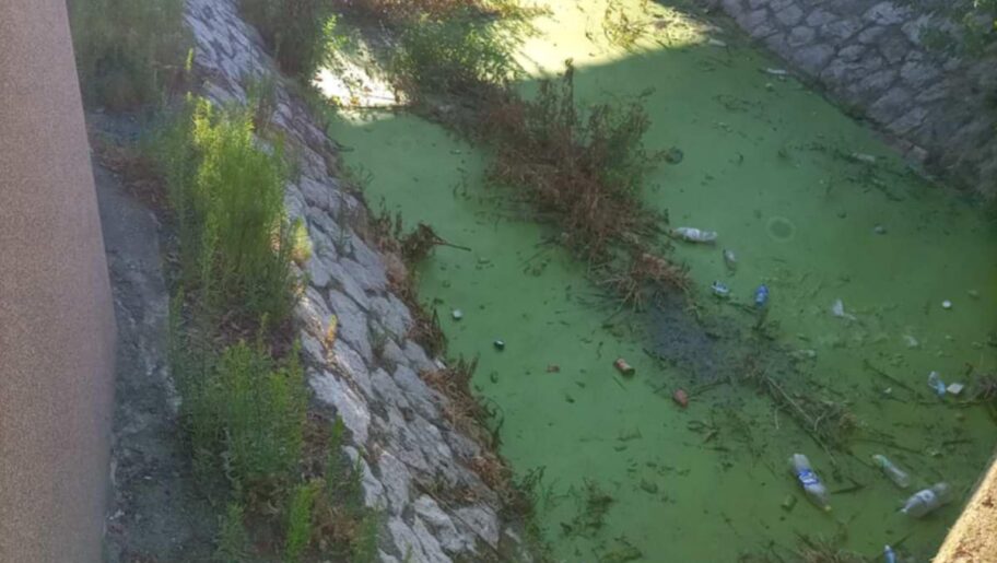 Stanari niškog naselja Ratko Jović žale se na neprijatan miris iz Humskog potoka, strahuju od zaraza 3 c973dd2c b0a7 4f03 b6f5 0363b02c60ad e1751622051450