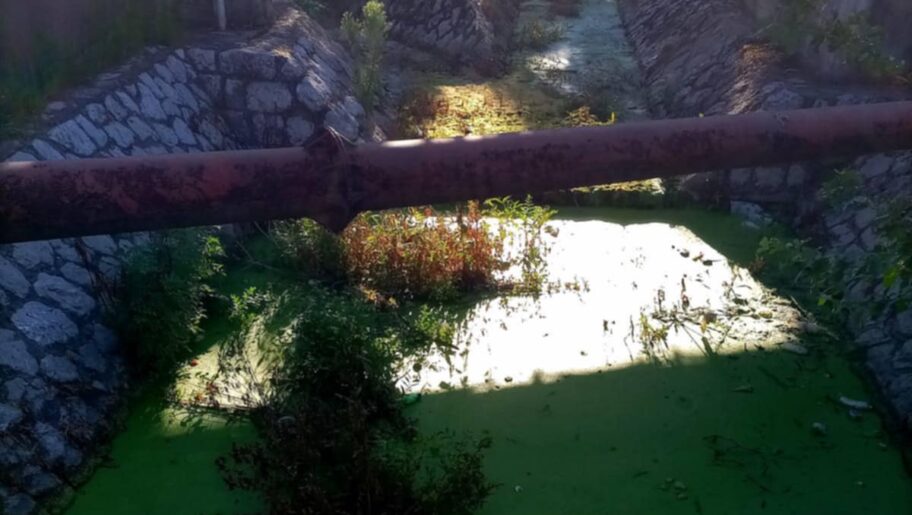 Stanari niškog naselja Ratko Jović žale se na neprijatan miris iz Humskog potoka, strahuju od zaraza 2 d3231805 c481 478d be8c 4810e71fe776 e1751622036513