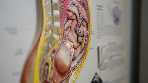 e93703f0 3d20 11f0 af00 f94ff1cabcc0