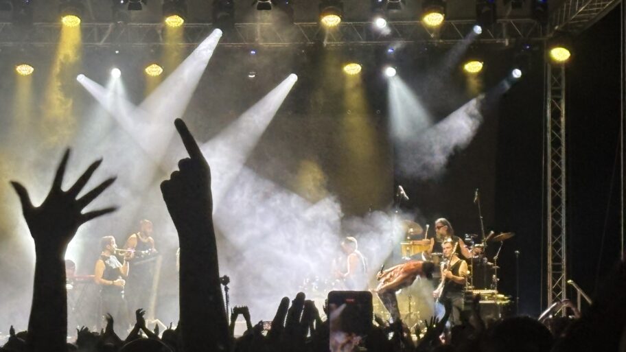 Niš pevao sa Senidom: Dva sata energije i emocija pod zvezdama 2 img 3457