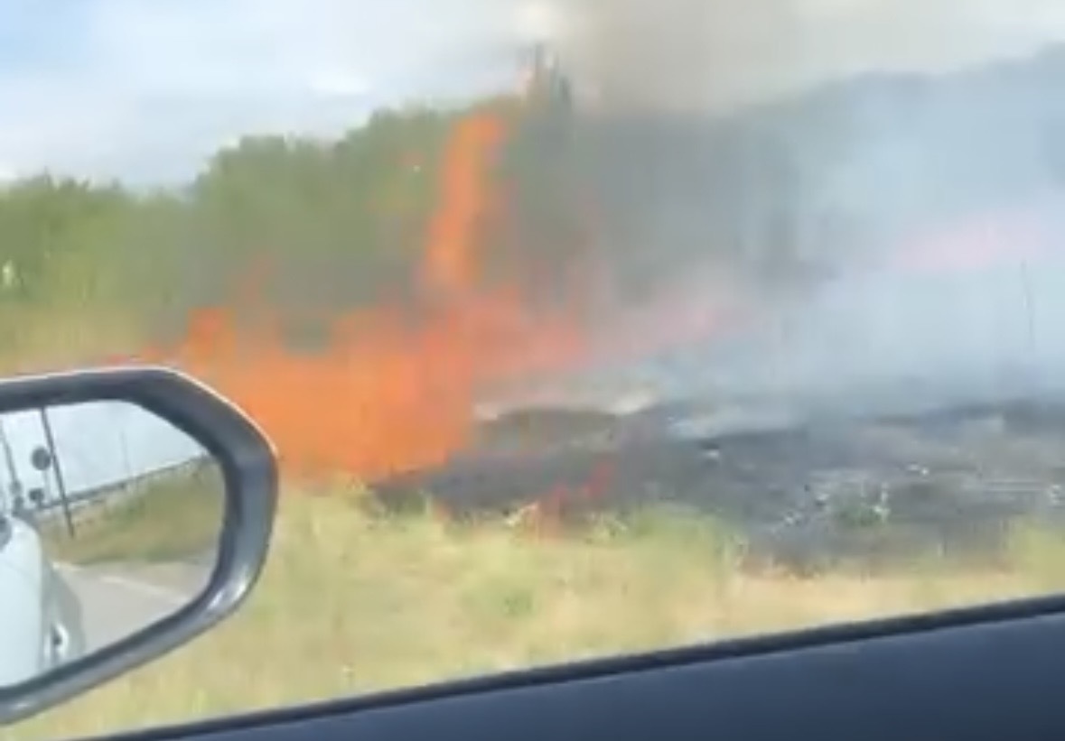Požar kod niškog Aerodroma, vatrogasci na terenu 1 img 3678