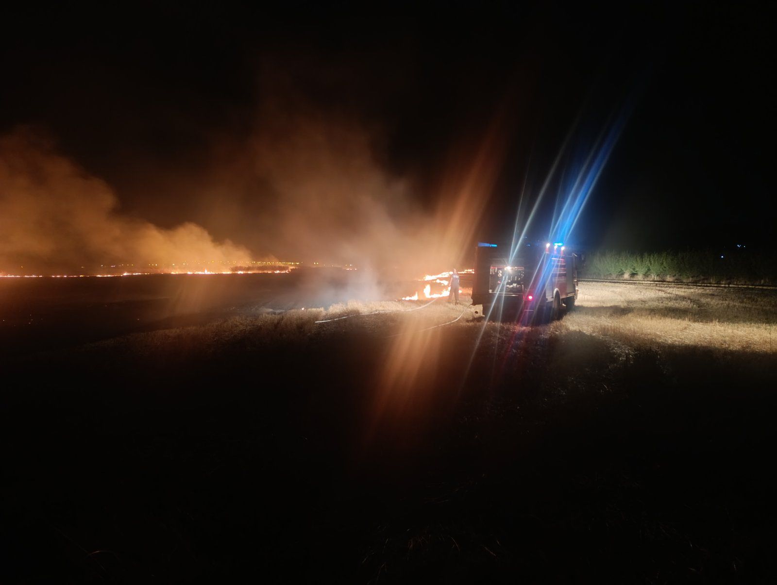 Gorelo rastinje i parcele u leskovačkom selu Lipovica 1 pozar lipovica