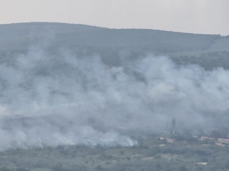 Požari u atarima niških sela i kod Aleksinca, nema povređenih 2 viber image 2025 07 26 16 46 38 275