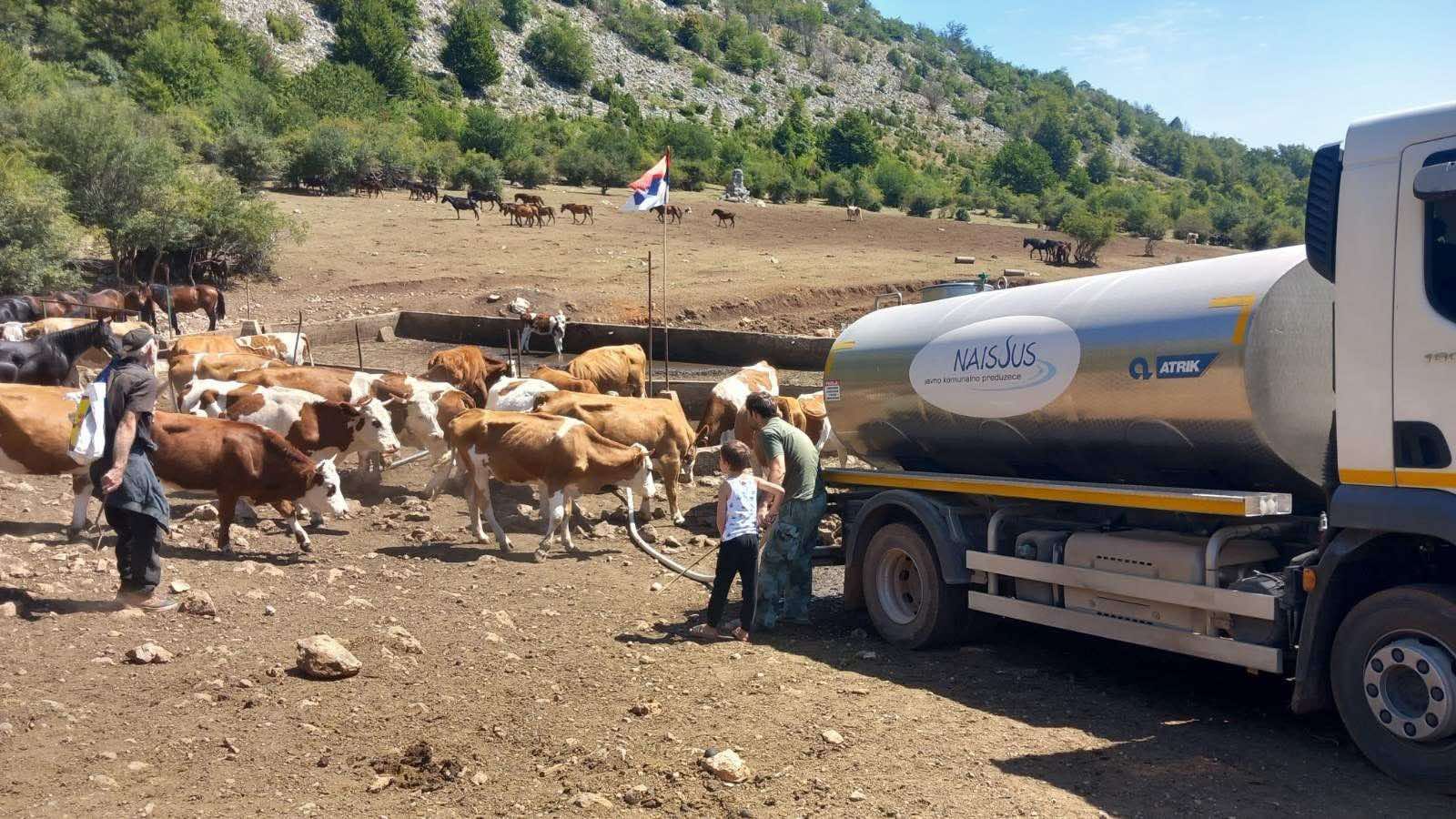 Nastavlja se dopremanje vode za stada na Suvoj planini 1 1 9