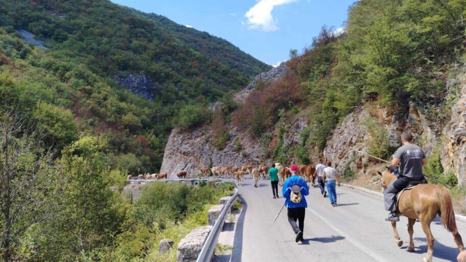 Stigle cisterne na Suvu planinu – Ministarstvo reagovalo, ali apeluje na vlasnike da planiraju unapred 2 1000008912