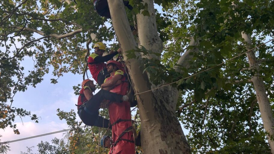 13a3ac07 b550 4cee a689 a595fb1a1927