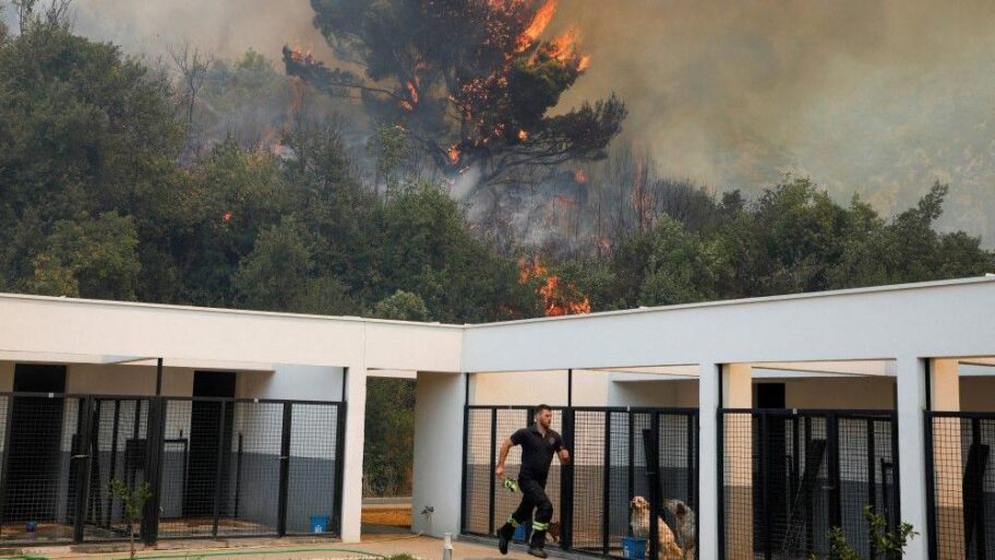 14b22e10 773c 11f0 a988 bf9736d91cfe 1