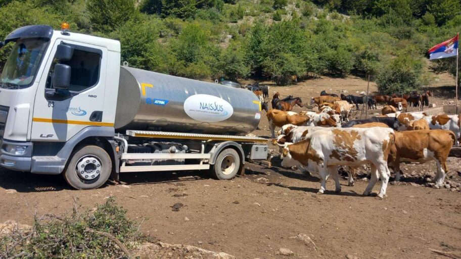 Stigle cisterne na Suvu planinu – Ministarstvo reagovalo, ali apeluje na vlasnike da planiraju unapred 3 2 8