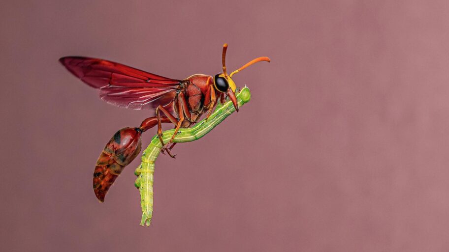 3b8aaf80 8312 11f0 9126 191f20dd9daf