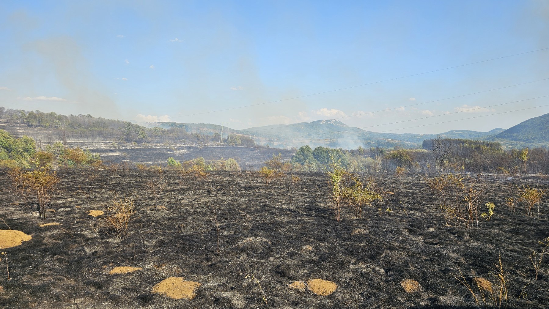 Veliki požar u okolini Svrljiga, gori preko 100 hektara 1 5