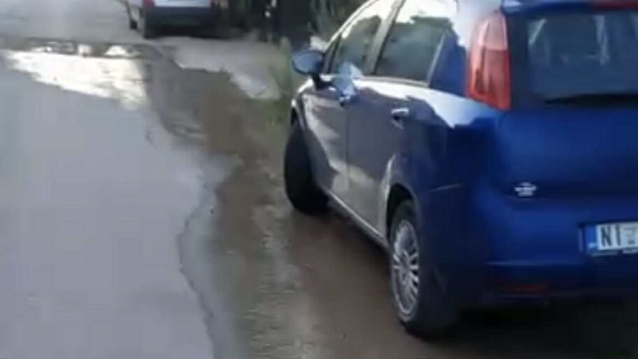 5dda2085 8c67 409d 90da ffa0658f6f4a