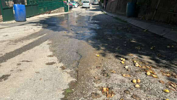 661679f7 11ba 4599 848e b10826406553 e1756294811834