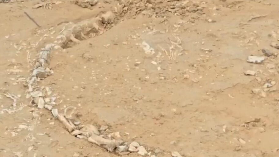 6a013ac0 8252 11f0 bccb 316957b7965d