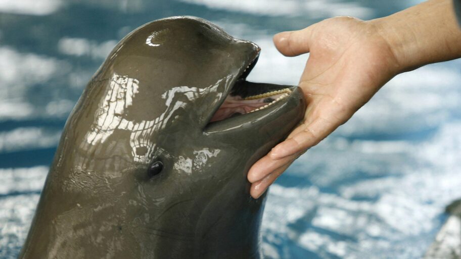 800d4190 7df4 11f0 b7e1 9f17ccfbbce5