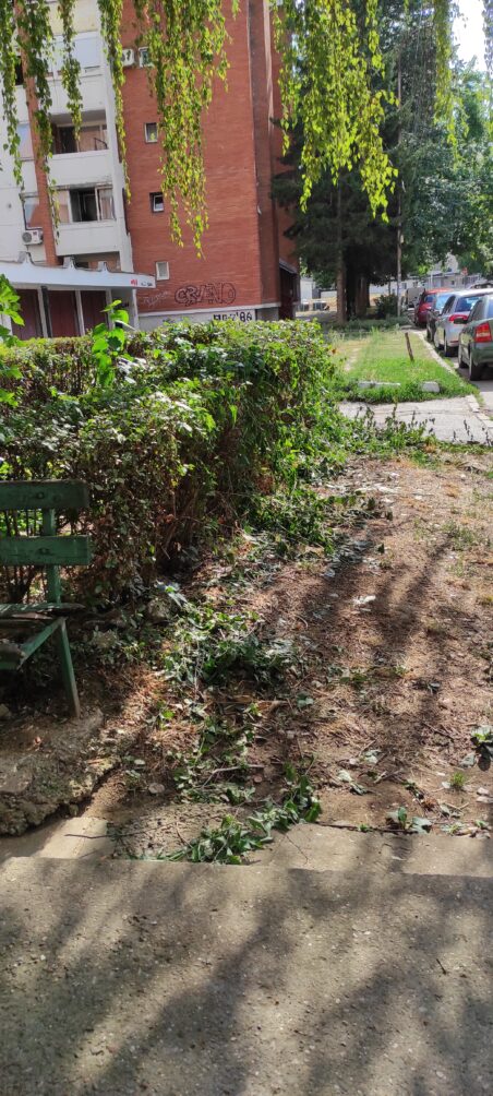 IMG 20250805 155610 452x1004 1