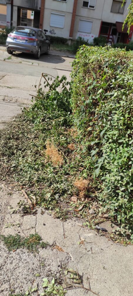 IMG 20250805 155626 452x1004 2