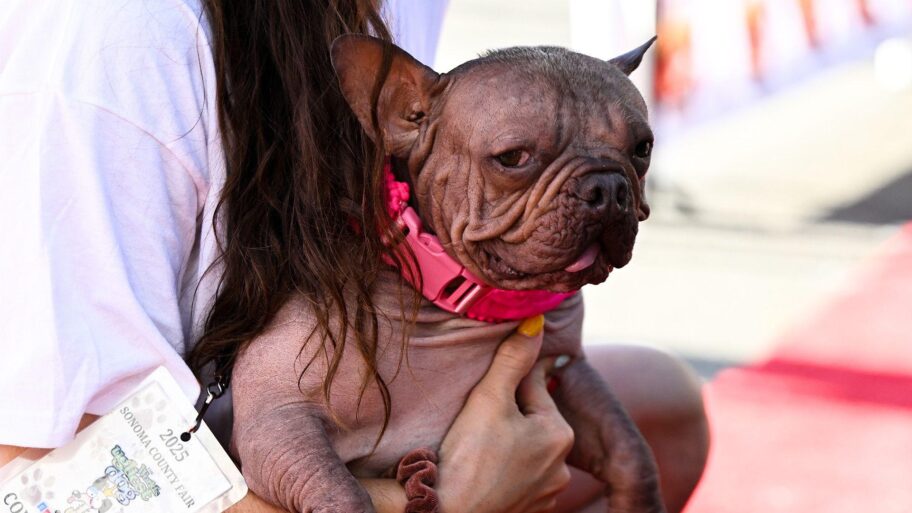 dfd90120 7699 11f0 a20f 3b86f375586a