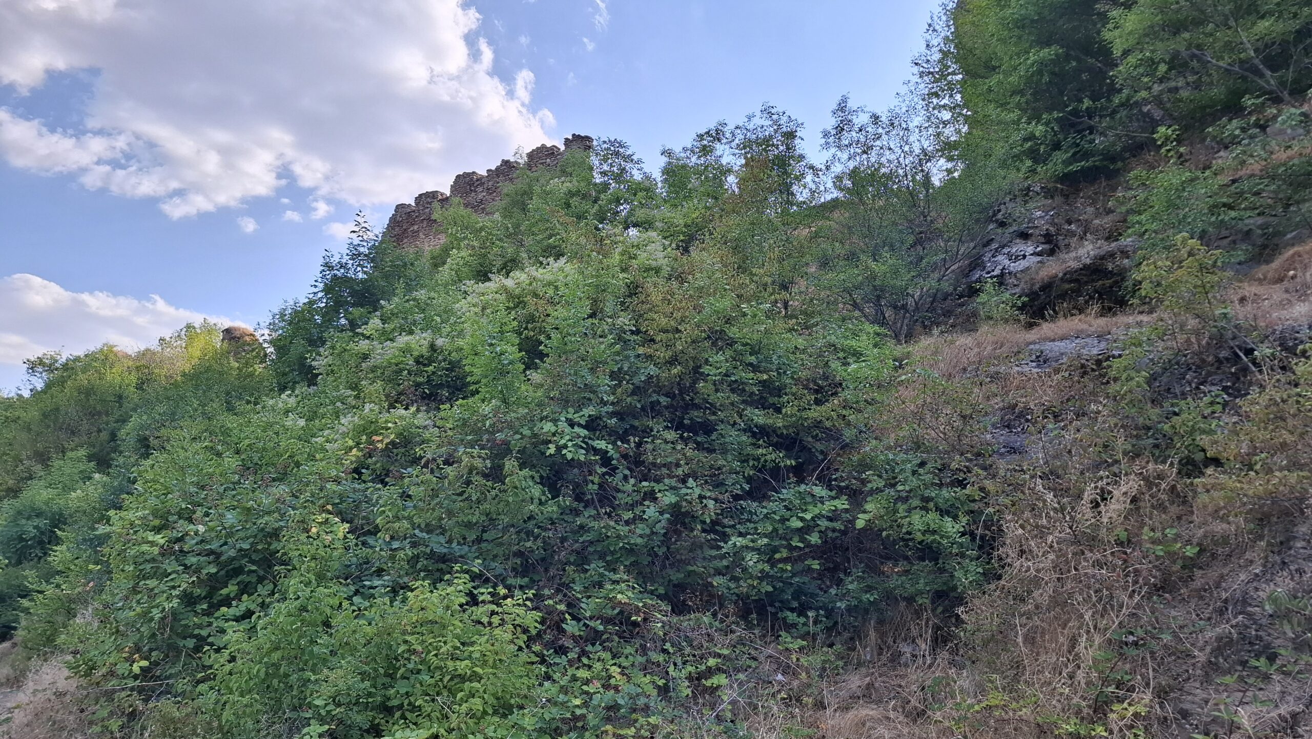 markovo kale foto jcm scaled