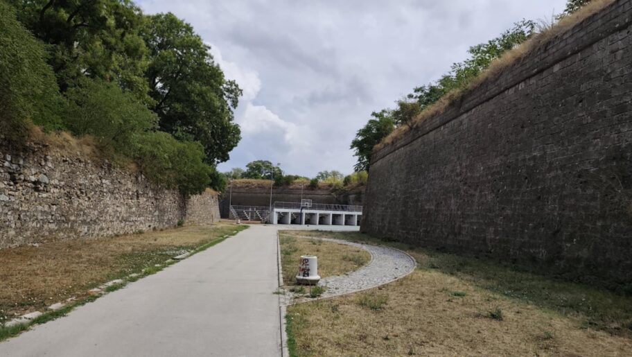 rovce foto ljubica jocic 8