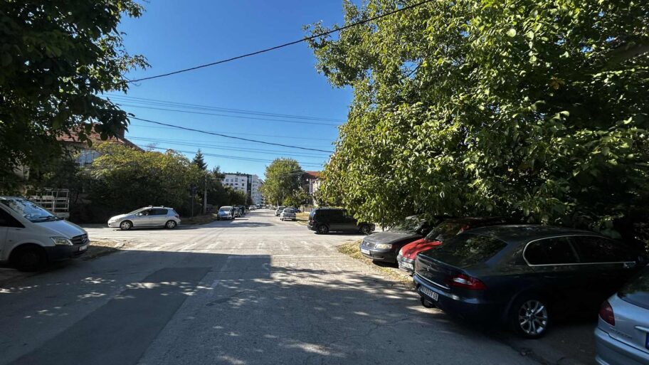 Foto-vest: Znak stop skriven u granju u Studeničkoj u Nišu 3 1df591ca 1352 4def abe7 9cbe5e3d5e1f