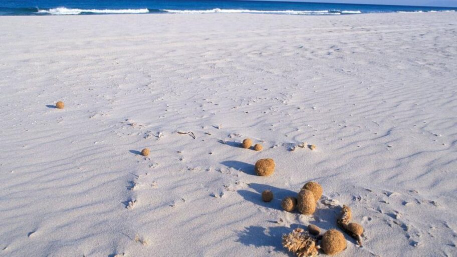 538b3640 906e 11f0 9495 29992932f8b8